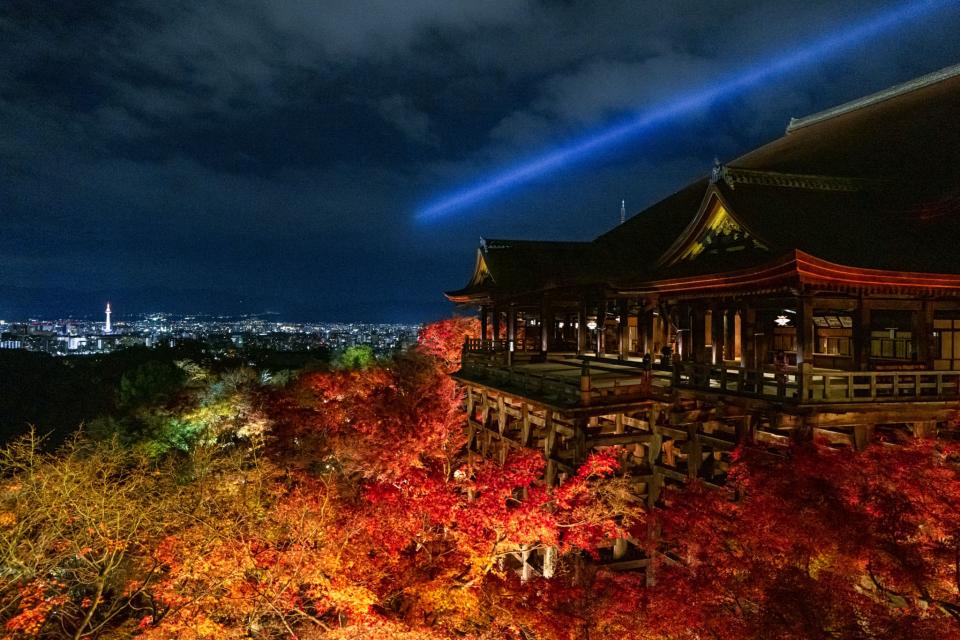 日本旅遊｜京都新推「觀光特急巴士」 連接多個景點：京都站/清水寺/衹園/平安神宮/銀閣寺 一覽路線、班次、車費