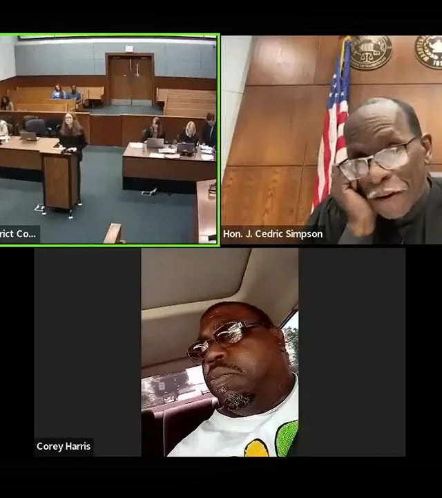 A Michigan Zoom court hearing