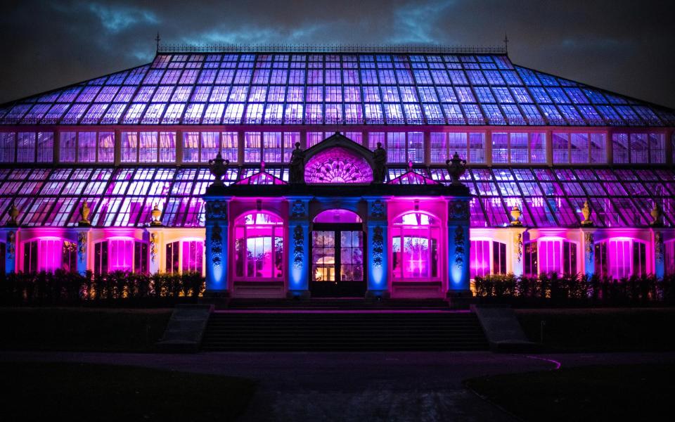 The Temperate House at Christmas at Kew 2019 - Jeff Eden