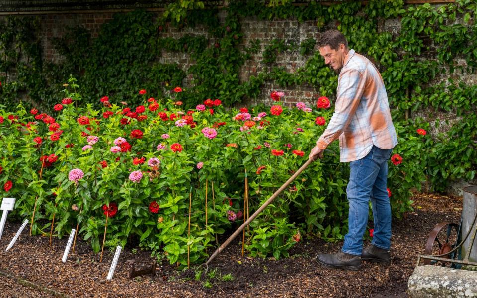 Tom Brown hoeing weeds