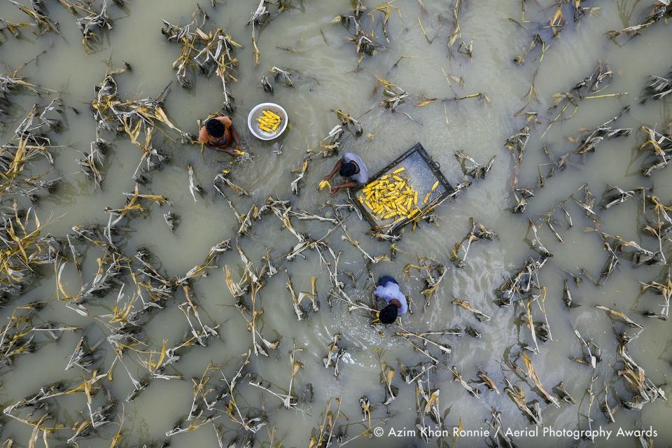 Flood water has damaged crops_Azim Khan Ronnie_Aerial Photography Awards 2020 copy