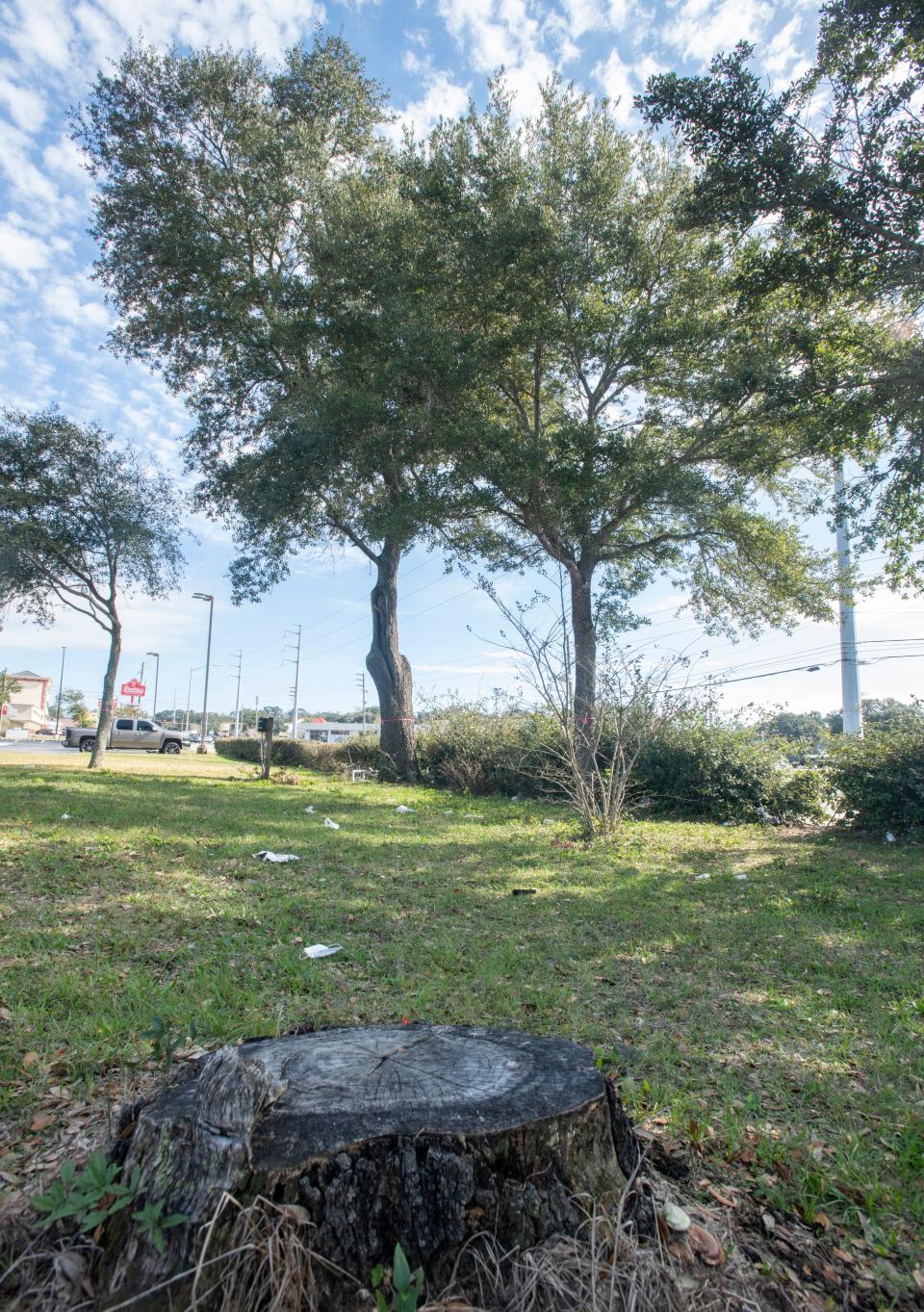 Trees in front of the site of the former Church's Chicken on Creighton Road are set to be cut down to make way for a new car wash, but some Pensacola City Council members want to ask the developer to consider keeping the trees.