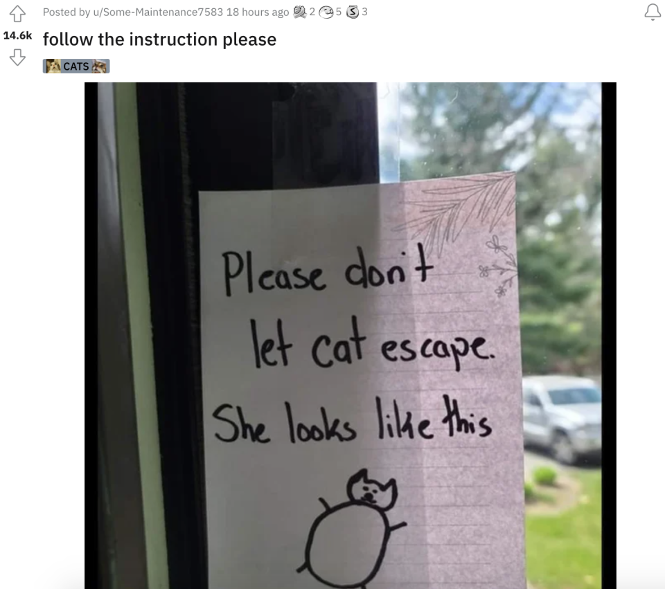 note with a drawing of a very large cat