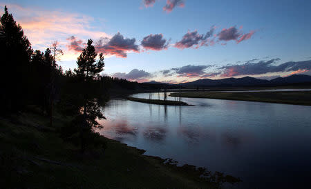 FILE PHOTO: The Yellowstone River winds through the Hayden Valley in Yellowstone National Park, Wyoming, U.S. on June 9, 2013. REUTERS/Jim Urquhart/File Photo