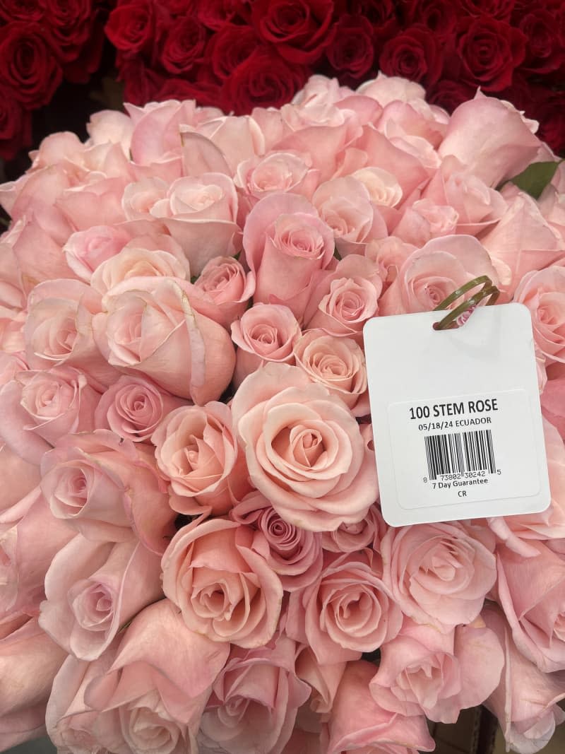 Roses from Sam's Club