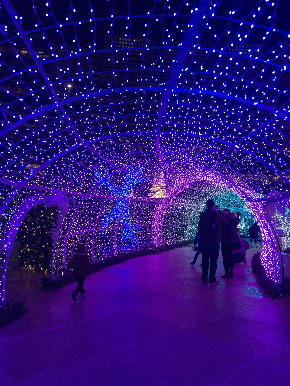 Inside the light tunnel at Enchant Christmas in Washington, D.C.