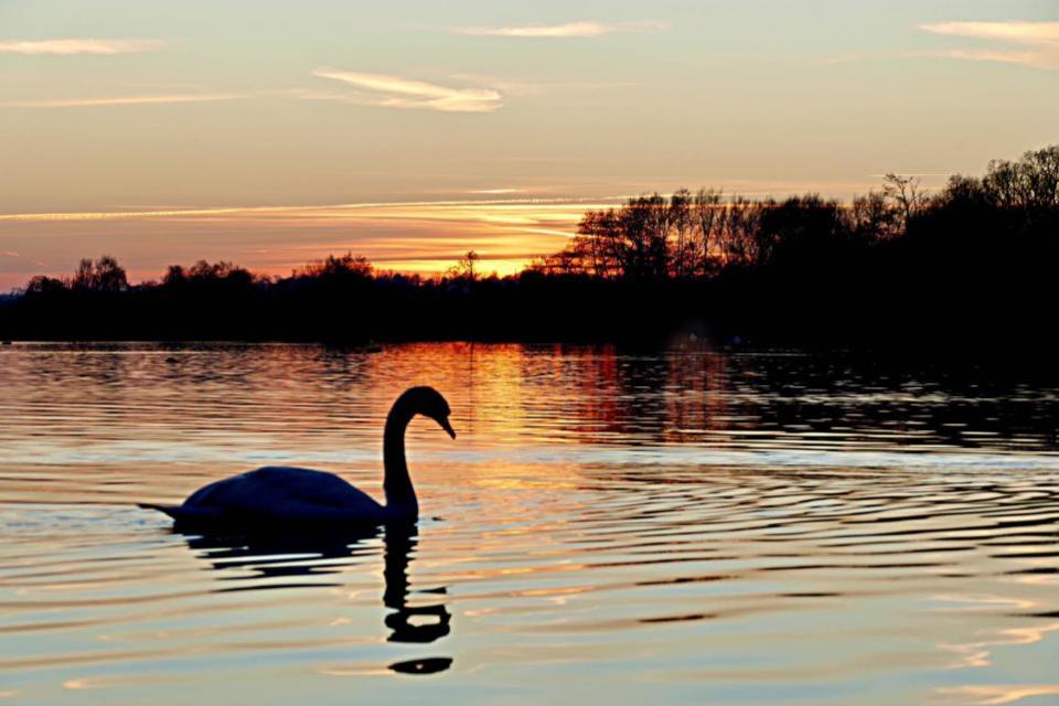 Watford Observer: 'Sunset over Stockers Lake, Rickmansworth'