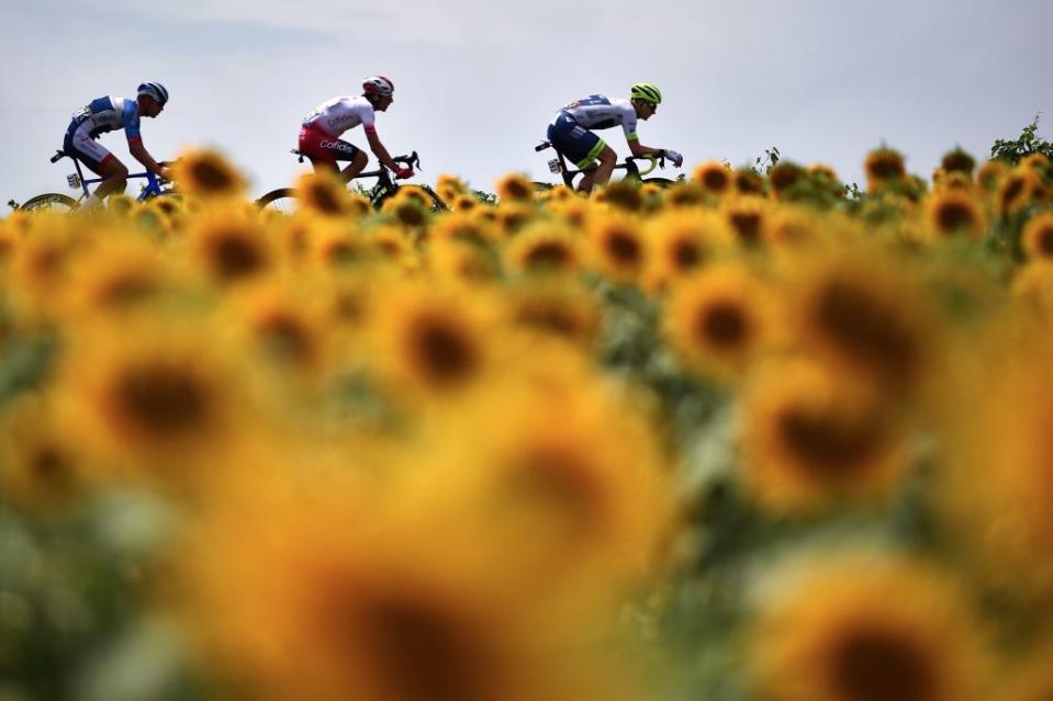 Tour de France 2019 : les plus belles photos de la Grande Boucle (J-11)