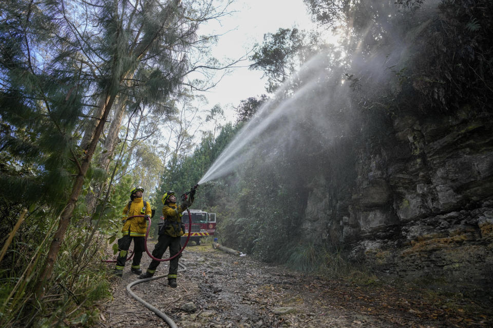 Firefighters work to control a forest fire on El Cable Hill in Bogota, Colombia, Thursday, Jan. 25, 2024. (AP Photo/Fernando Vergara)