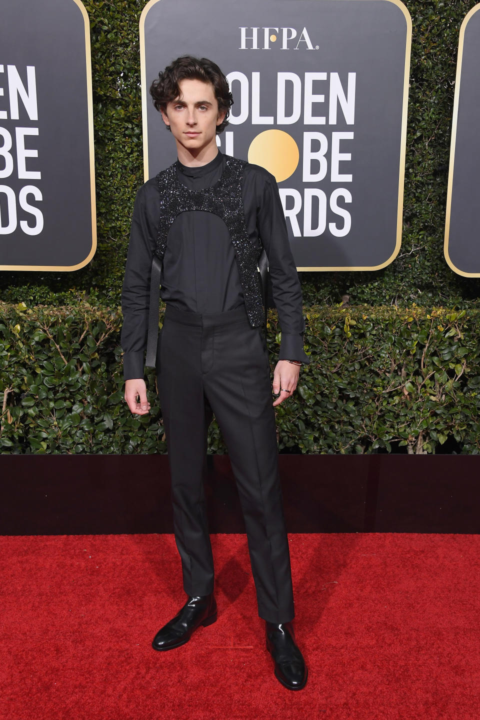 Timothée Chalamet at the 2019 Annual Golden Globe Awards