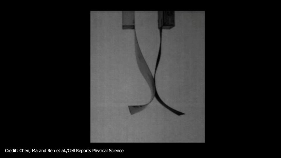 Nanogenerator creates energy from light winds using same effect as rubbing a balloon on your hair (Chen, Ma, and Ren et al./Cell Re)