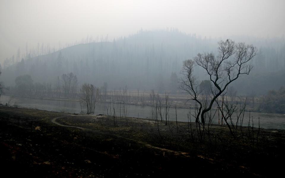 The Klamath River streams through the burn zone.