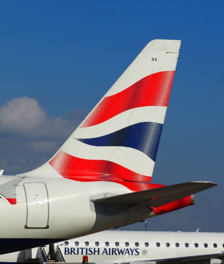 Going nowhere: The flight was delayed for several house thanks to the small rodent (REX/Shutterstock) 