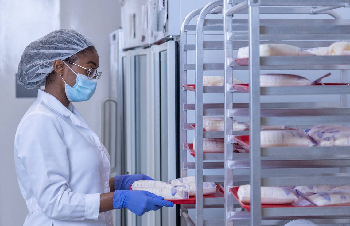 A lab technician prepares bags of frozen breast milk from donors to thaw before they’re processed.