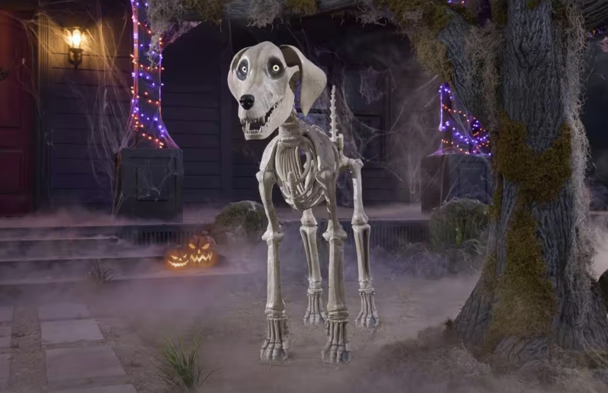 Skelly’s Dog in a foggy Halloween setting.