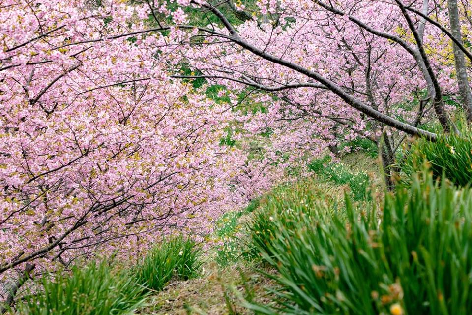 佐久間水壩湖（Image Source : Getty Creative/iStockphoto)