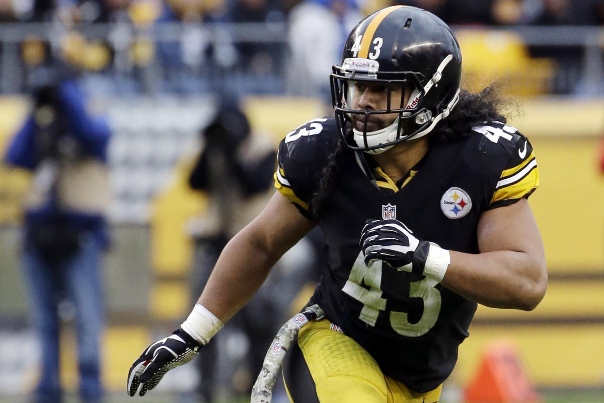 Troy Polamalu, Reggie Wayne highlight finalists for Hall of Fame