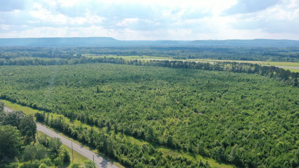 This aerial photo shows the Gadsden Airport Authority property on which Pilgrim's Pride wants to construct what it calls a "state-of-the-art" animal parts rendering plant.