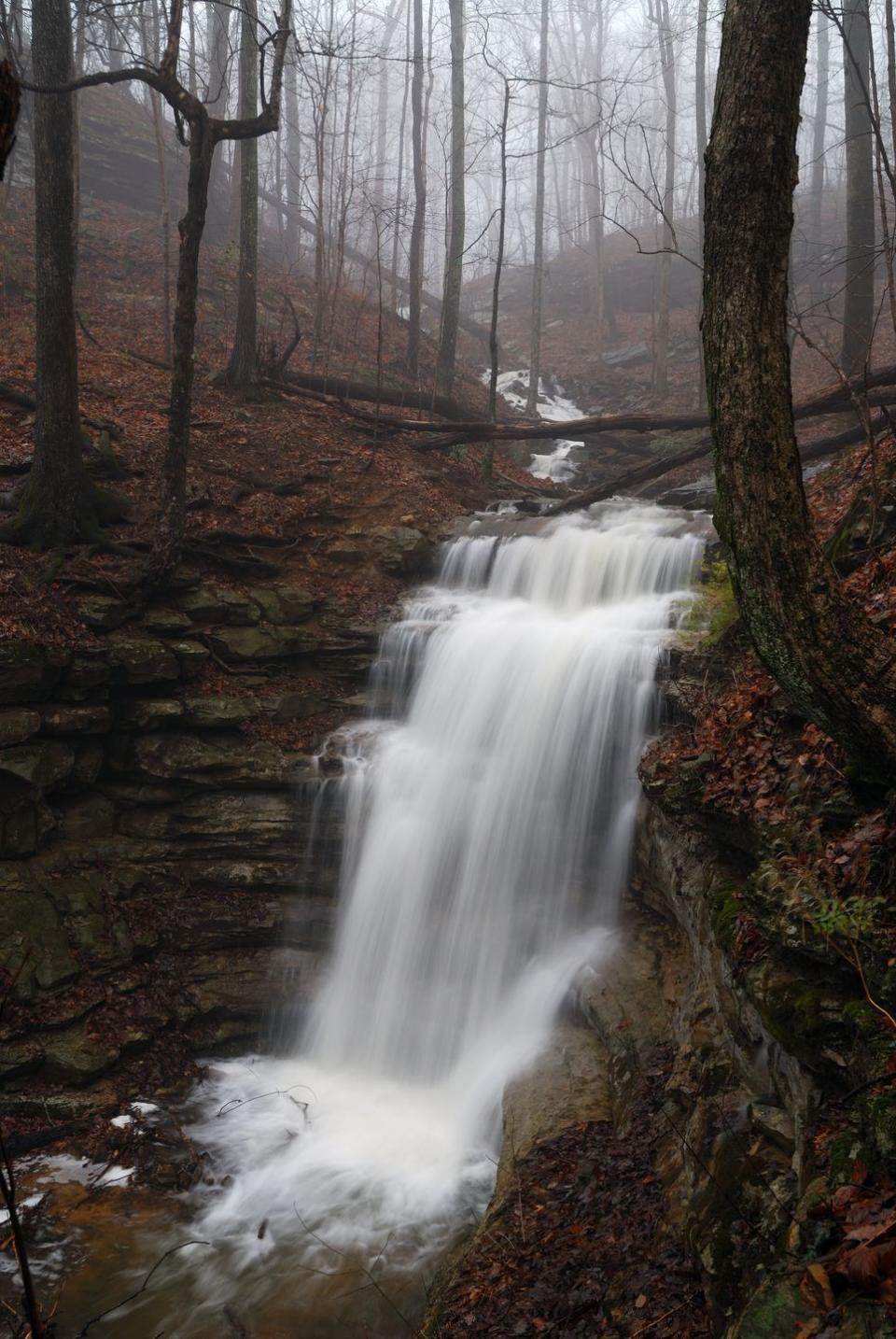 Alabama: Alum Hollow Trail