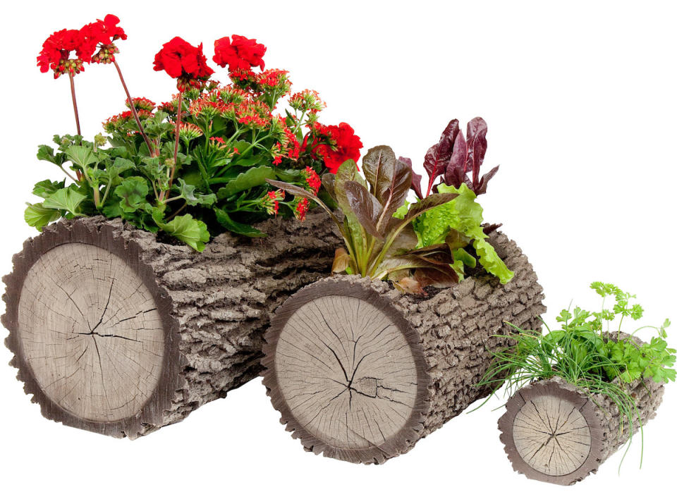 <body> <p>What's that—an old log-turned-planter? Think again. This <a rel="nofollow noopener" href=" http://www.shareasale.com/r.cfm?u=1106682&b=65867&m=11035&afftrack=&urllink=www%2Ewayfair%2Ecom%2FReal%2DNovelty%2DPot%2DPlanter%2DNIVT1001%2Ehtml" target="_blank" data-ylk="slk:lifelike imposter;elm:context_link;itc:0;sec:content-canvas" class="link ">lifelike imposter</a> has all the charm of a hollowed out trunk, but with none of the flaking bark, decay, and bugs that come with the real thing. Available in three sizes, these planters are small enough to fit on a deep window ledge, and weather-resistant to stand up to outdoor life, if you ever have the urge to move them to the deck or patio. <em>Available at <a rel="nofollow noopener" href=" http://www.shareasale.com/r.cfm?u=1106682&b=65867&m=11035&afftrack=&urllink=www%2Ewayfair%2Ecom%2FReal%2DNovelty%2DPot%2DPlanter%2DNIVT1001%2Ehtml" target="_blank" data-ylk="slk:Wayfair;elm:context_link;itc:0;sec:content-canvas" class="link ">Wayfair</a>; $37.99.</em> </p> <p><strong>Related: <a rel="nofollow noopener" href=" http://www.bobvila.com/slideshow/10-totally-unexpected-things-to-remake-as-planters-48688?#.V8EFqpMrKRs?bv=yahoo" target="_blank" data-ylk="slk:10 Totally Unexpected Things to Remake as Planters;elm:context_link;itc:0;sec:content-canvas" class="link ">10 Totally Unexpected Things to Remake as Planters</a> </strong> </p> </body>