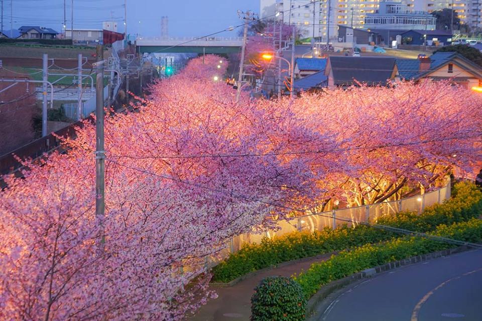 三浦海岸（Image Source : Getty Creative/iStockphoto）