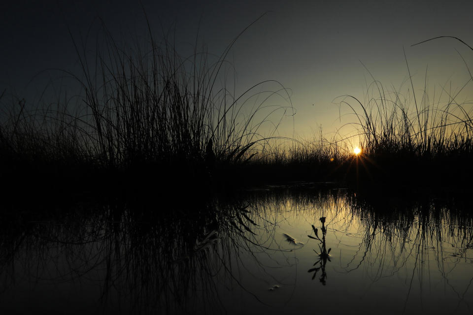 In this Monday, Oct. 21, 2019 photo, the sun rises behind saw grass in a marsh at Everglades National Park near Flamingo, Fla. “Here are no lofty peaks seeking the sky, no mighty glaciers or rushing streams wearing away the uplifted land,” President Harry S. Truman said in a Dec. 6, 1947, address dedicating the Everglades National Park. “Here is land, tranquil in its quiet beauty, serving not as the source of water, but as the last receiver of it. To its natural abundance we owe the spectacular plant and animal life that distinguishes this place from all others in our country." (AP Photo/Robert F. Bukaty)