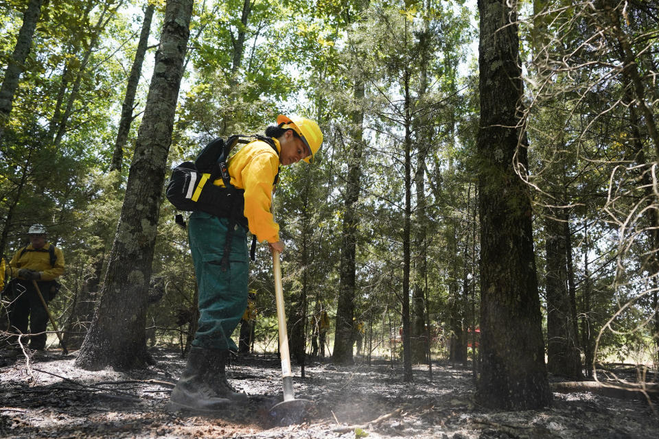 Taylor Mohead puts out embers after a prescribed fire during a wildland firefighter training Friday, June 9, 2023, in Hazel Green, Ala. A partnership between the U.S. Forest Service and four historically Black colleges and universities is opening the eyes of students of color who had never pictured themselves as fighting forest fires. (AP Photo/George Walker IV)