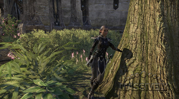 Elder Scrolls Online elf guard