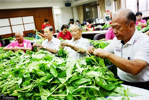 董事長蕭清杰常務董事陳阿水，董事廖火桐，還動手挑揀麻芛，重溫兒時回憶。