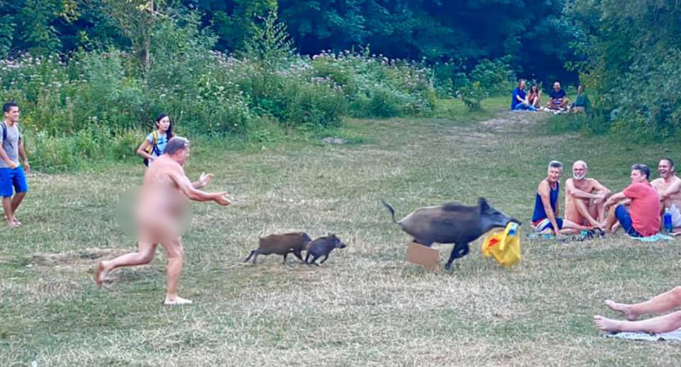 A German nudist chased a boar after it stole his bag of possessions. Source: Facebook/Adele Landauer