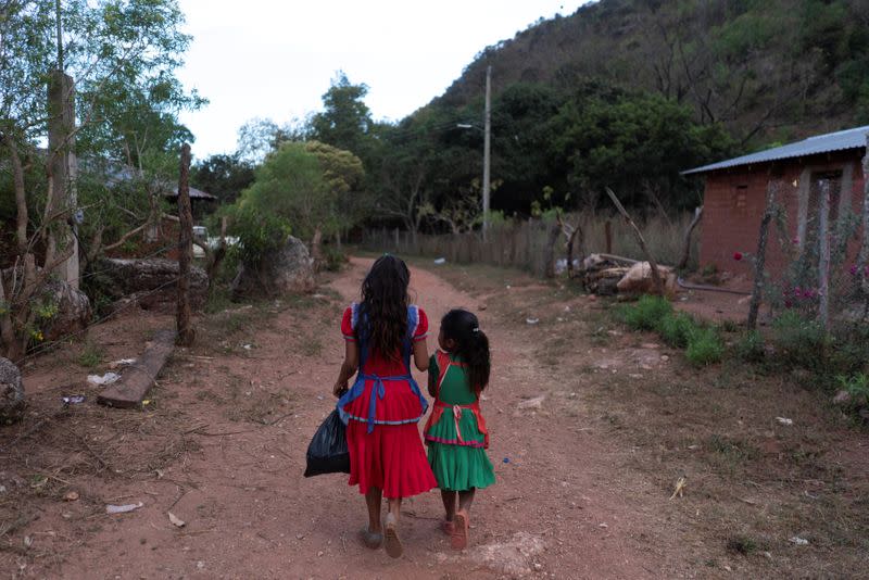 The Wider Image: "Under siege": Inside Mexican village where children are armed