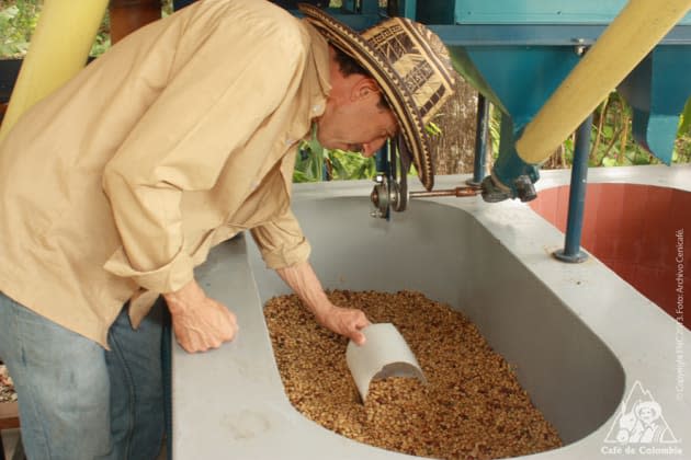 Fermentación del Café