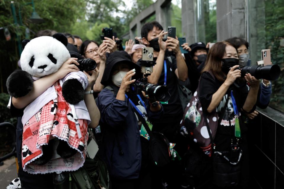 去年從日本上野動物園回到中國的大貓熊「香香」，12日在四川「中國大熊貓保護研究中心雅安碧峰峽基地」慶祝7歲生日。路透社