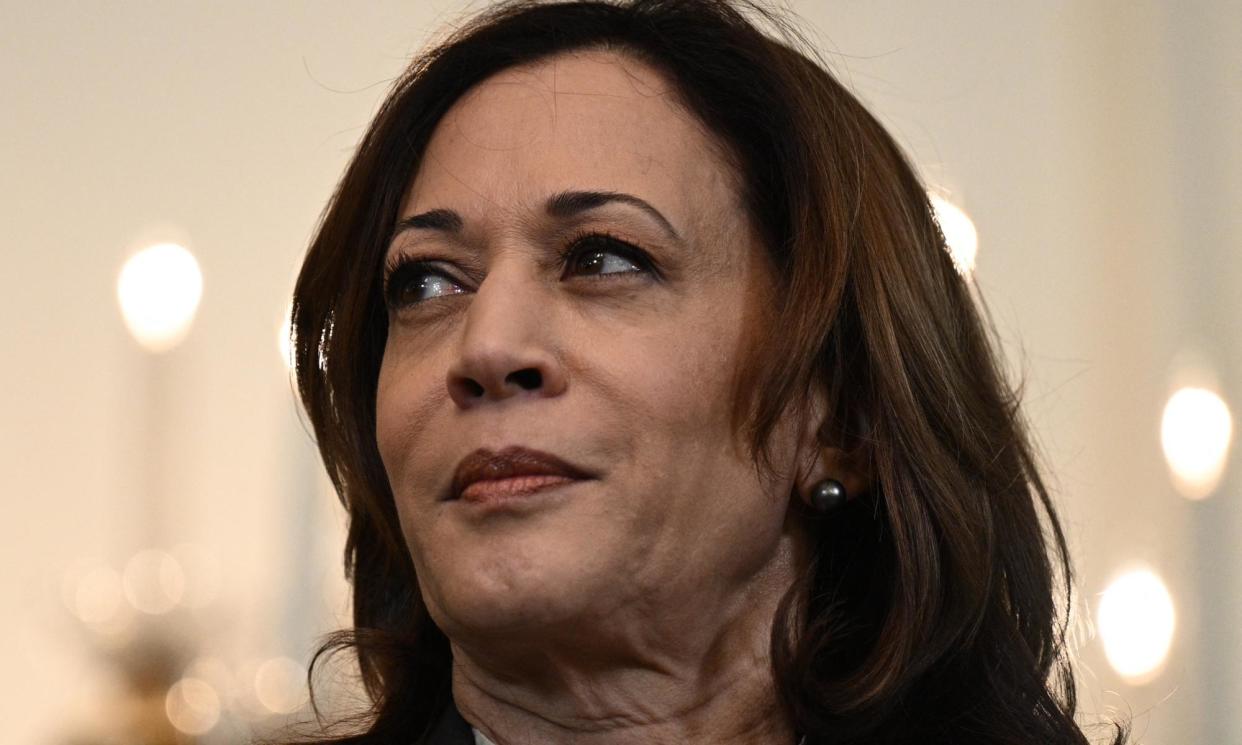 <span>The resource center will help state and local governments ‘optimize’ the use of red flag laws, Harris said.</span><span>Photograph: Brendan Smialowski/AFP/Getty Images</span>
