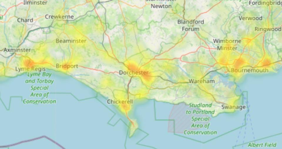 Bournemouth Echo: Japanese Knotweed hotspots mapped around Dorset