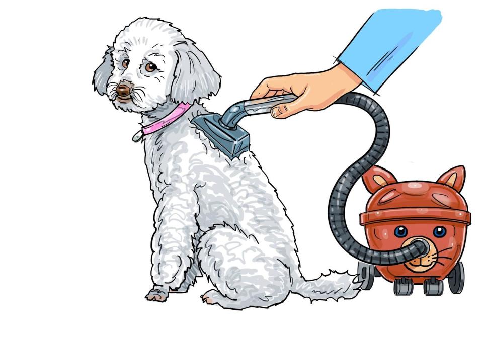 <p>In the past year alone, over 100 people have searched for a cat or dog vacuum cleaner at Argos. Why brush your pet when you can simply Hinch them to preened perfection in 30 seconds flat? One customer even requested a cylindrical version – perhaps so their pooch had their own mini Dyson to accompany their owner’s.</p>