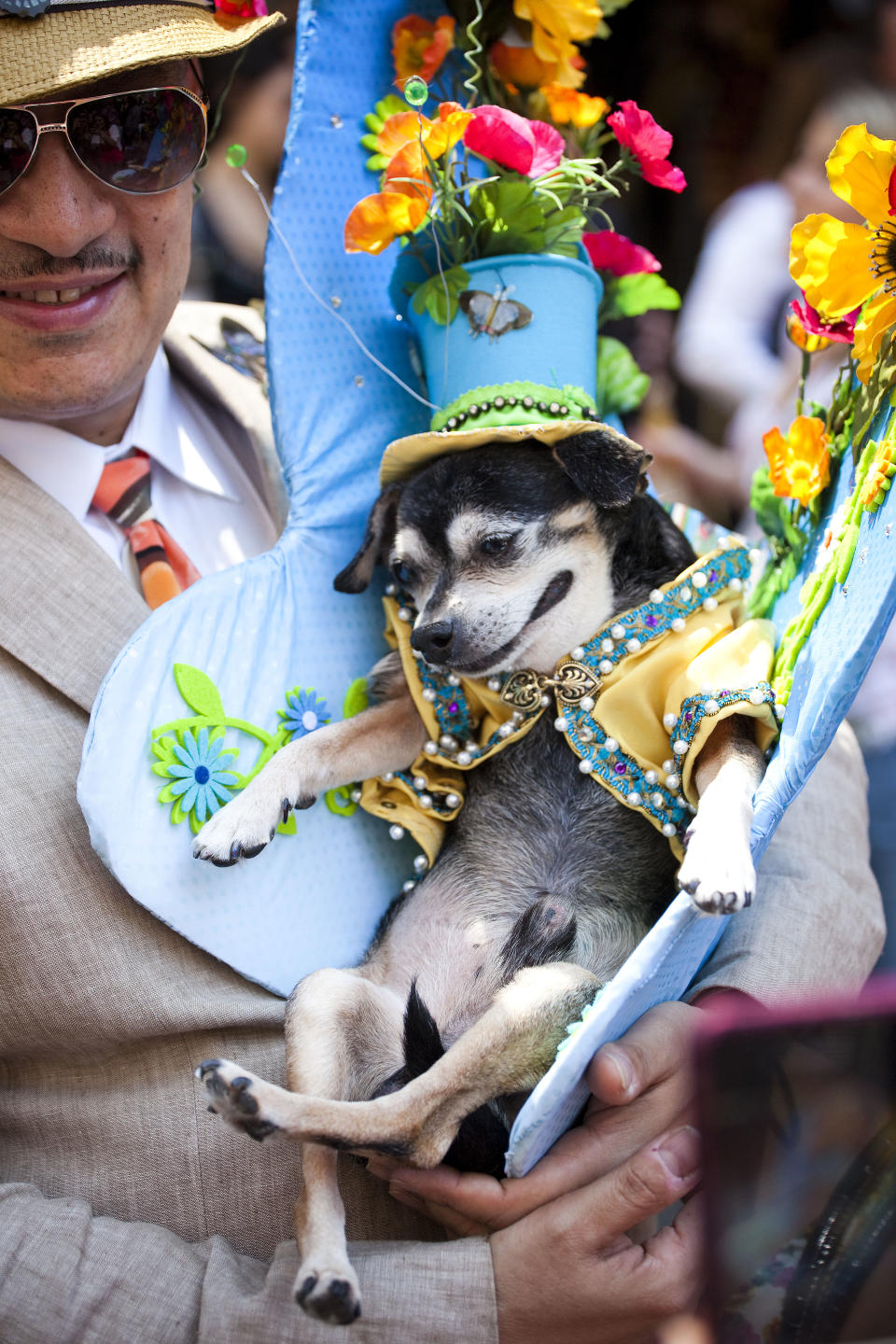NEW YORK - APRIL 24: Anthony Rubio, of the Bronx, and his chihuahua Bandit take part in the 2011 Easter Parade and Easter Bonnet Festival on April 24, 2011 in New York City. The parade is a New York tradition dating back to the mid-1800s when the social elite would parade their new fashions down Fifth Avenue after attending Easter services in one of the Fifth Avenue churches. (Photo by Michael Nagle/Getty Images)