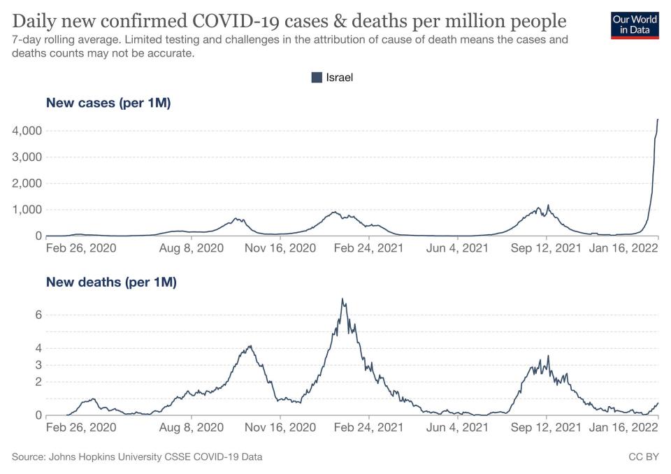 Charts show Israel's COVID-19 cases and deaths per million