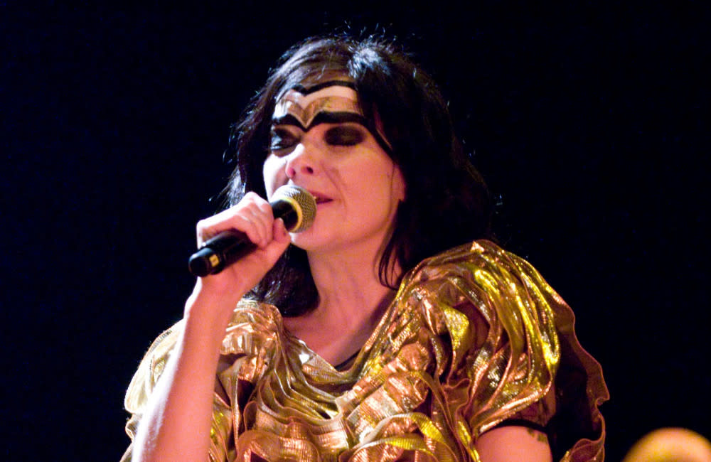 Björk credit:Bang Showbiz