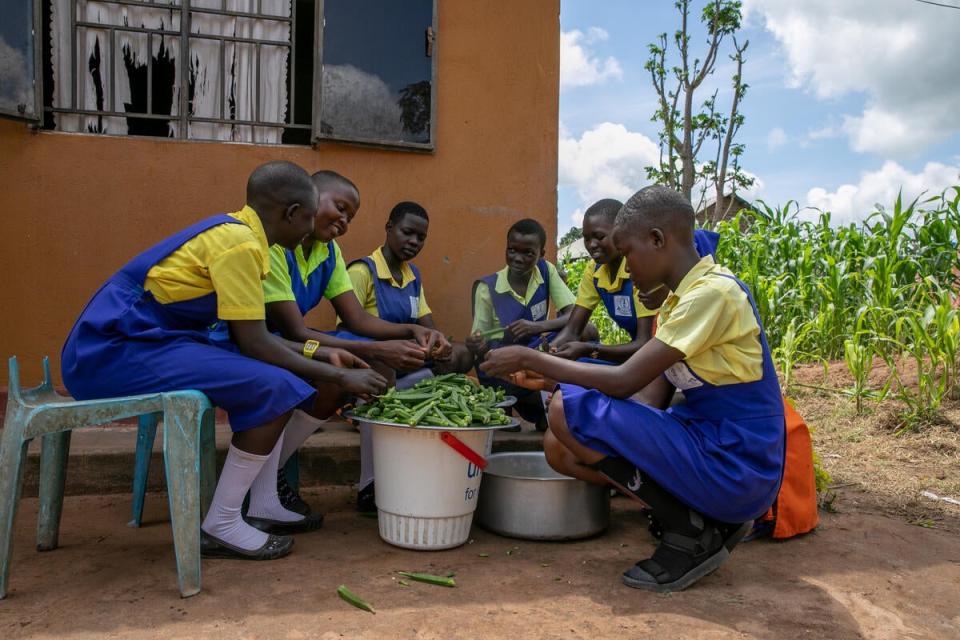 Primary school girls wash okra growing in their school garden in South Sudan as part of WFP-supported school meals (WFP/Eulalia Berlanga)