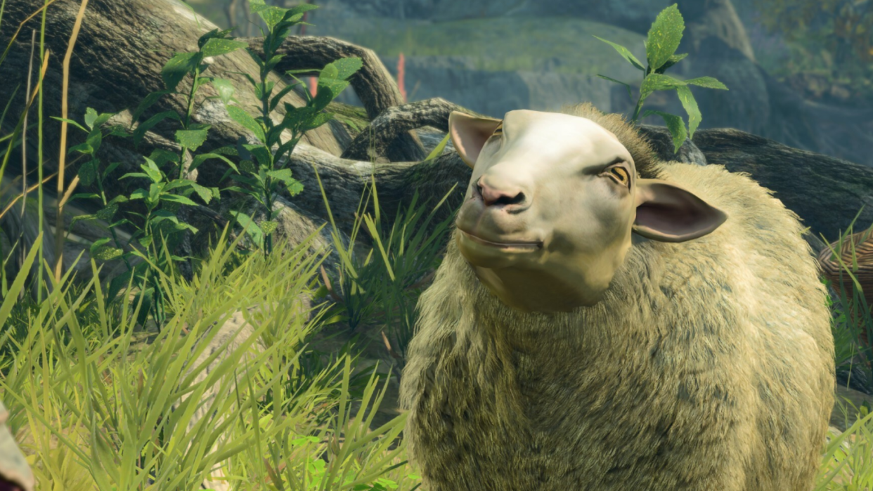  A sheep from Baldur's Gate 3 cants its head to one side, as if questioning life itself. 