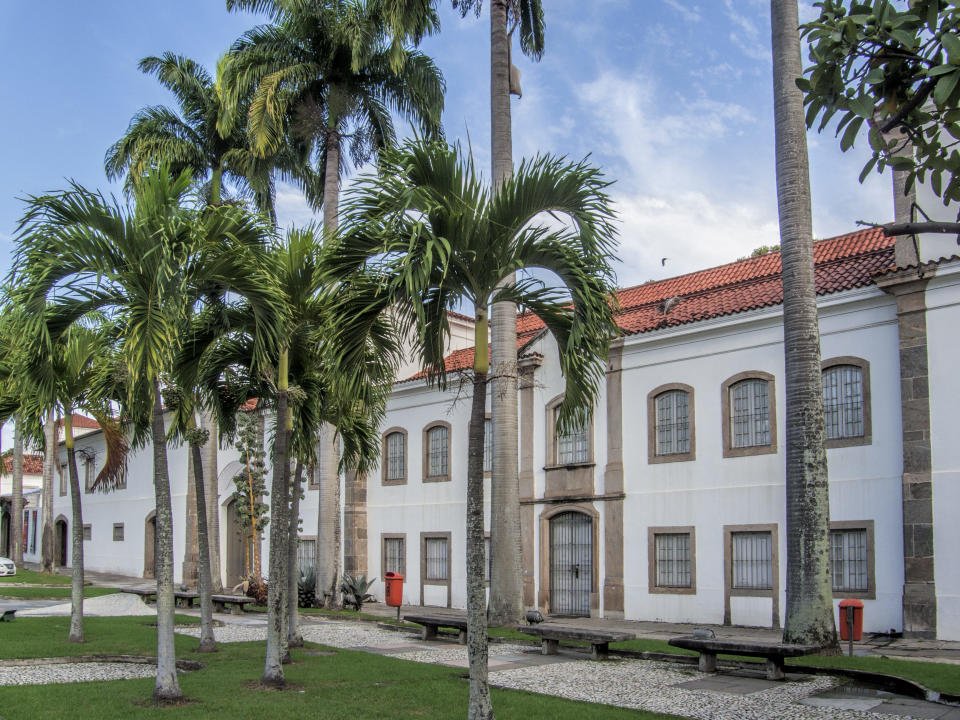 Brazil's National Museum