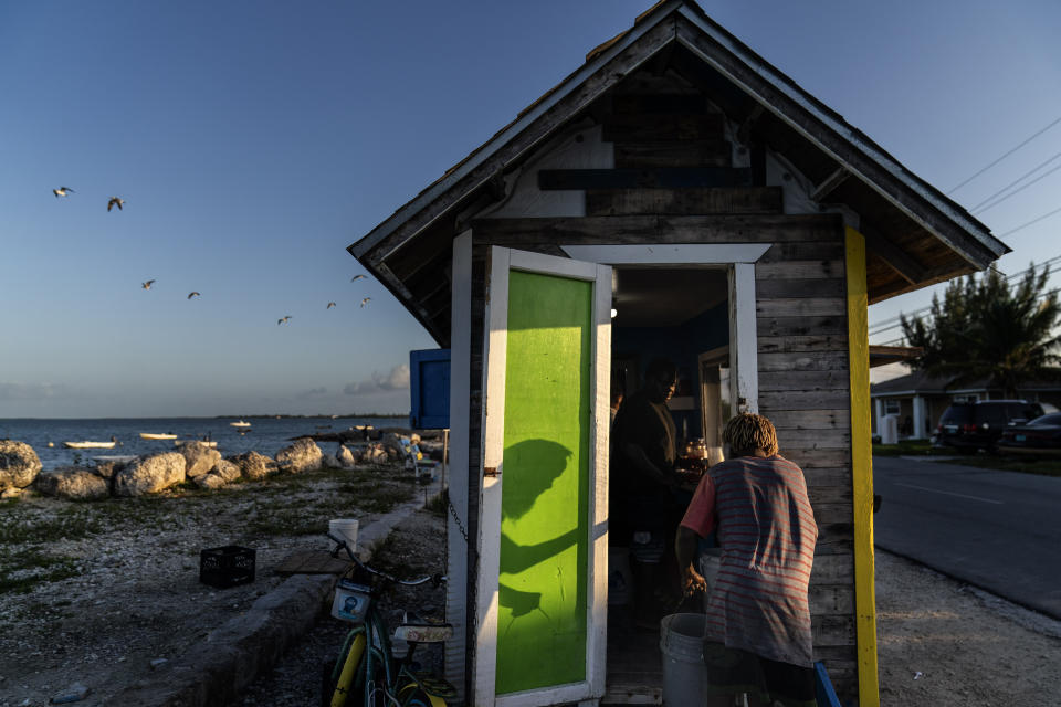 A fisherman brings a bucket of fresh conch to Sherica Smith, owner of Shabo's, a popular conch stand in West End, Grand Bahama Island, Bahamas, Sunday, Dec. 4, 2022. Smith remembers a time when "you could walk out there and get conch." She motioned to the ocean behind her stand, where conch fishermen now must head to sea in boats to dive for the shellfish. (AP Photo/David Goldman)