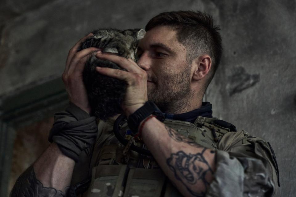 Ukrainian soldier pets a kitten in a shelter under the Russian shelling on the frontline (AP)