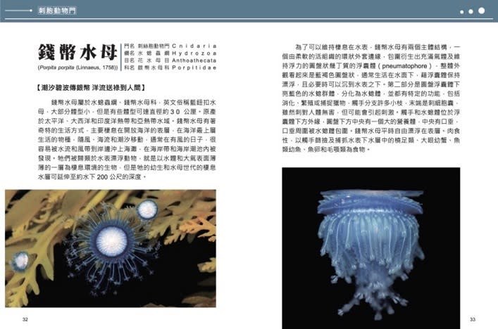 向海洋高度生物多樣性致敬　國海院新書發表