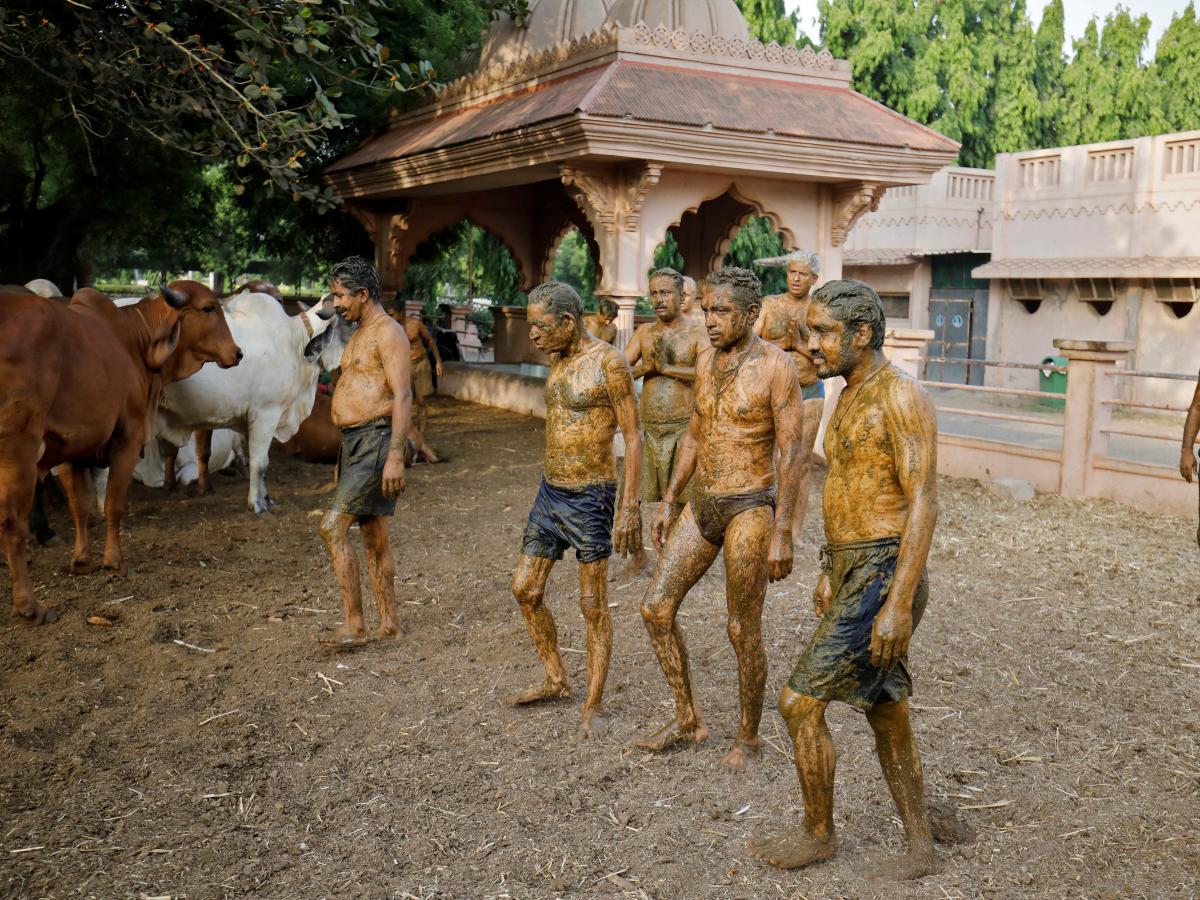 house made of cow manure