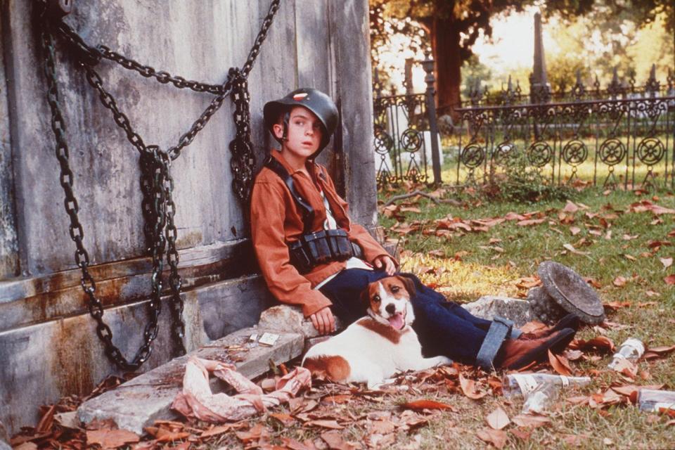 40 Amazing (and Unforgettable) Movie Dogs We Wish Were Ours