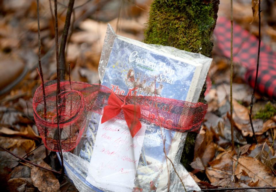 A copy of the "Chicken Soup for the Soul" book hangs on the R.Y.A.N. Tree at Quail Hollow Park in Lake Township. The tree honors the memory of Ryan Wozniak who died in 2014.