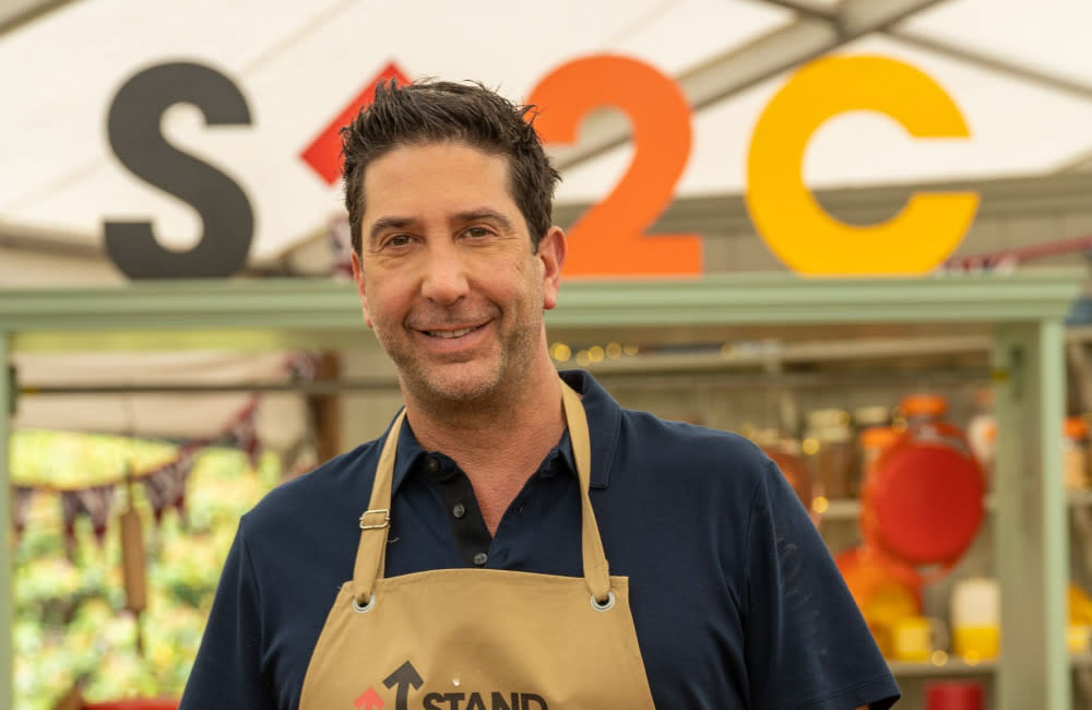 David Schwimmer is competing on this year’s ‘Celebrity Great British Bake Off for Stand Up to Cancer’ show as his grandmother and ex-wife’s mum were killed by the disease – which has also afflicted his sister credit:Bang Showbiz