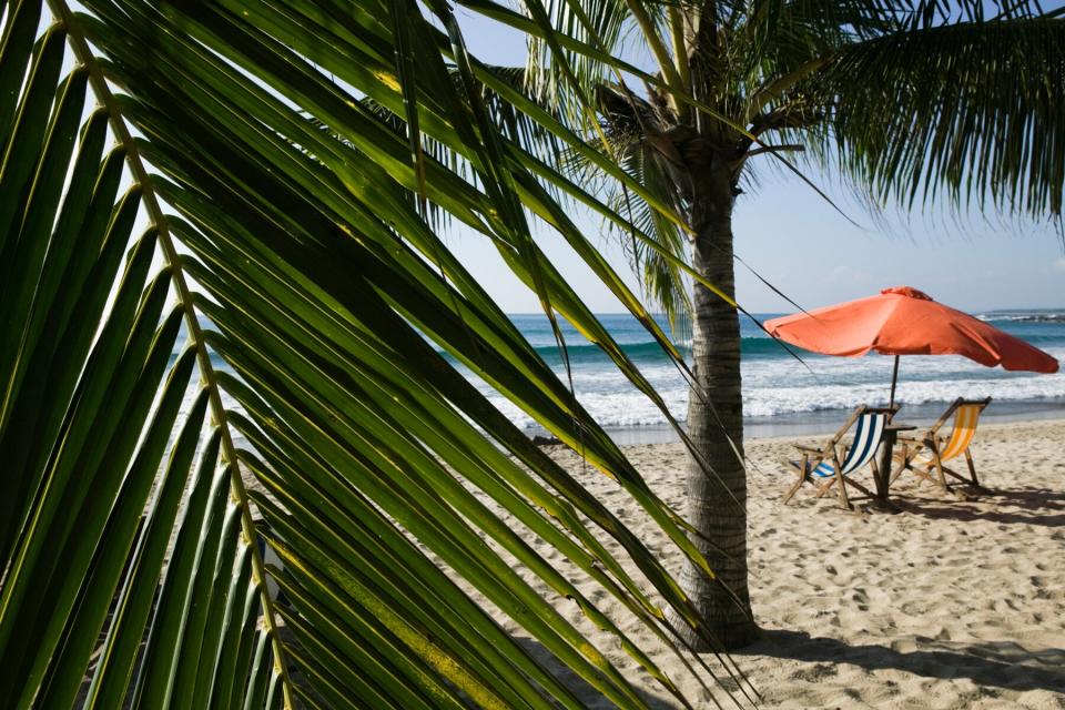 Beach chairs and umbrella under palm trees at Troncones, Guerrero